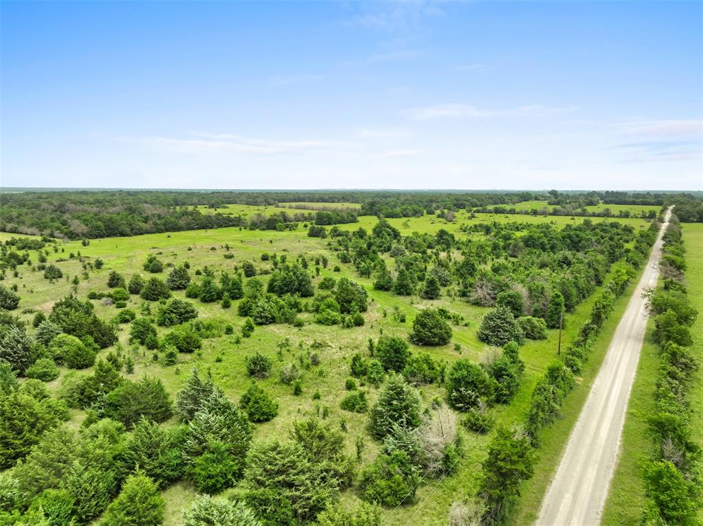 +/- 35 AC Batson Road, Normangee, Texas image 15