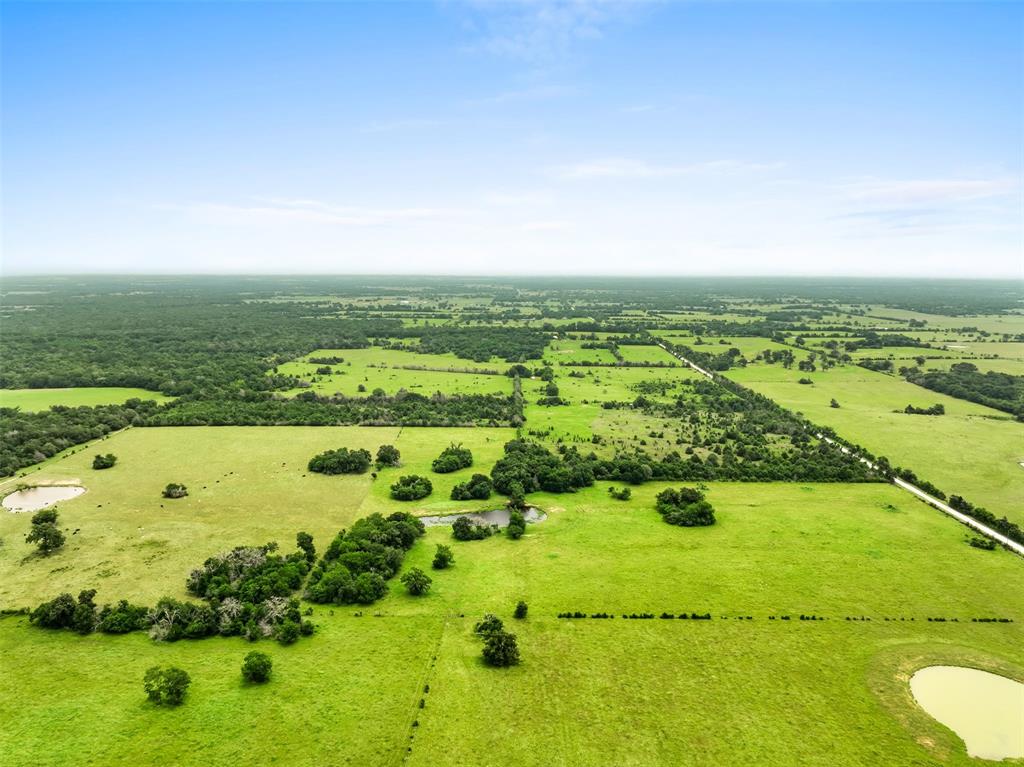 +/- 35 AC Batson Road, Normangee, Texas image 13