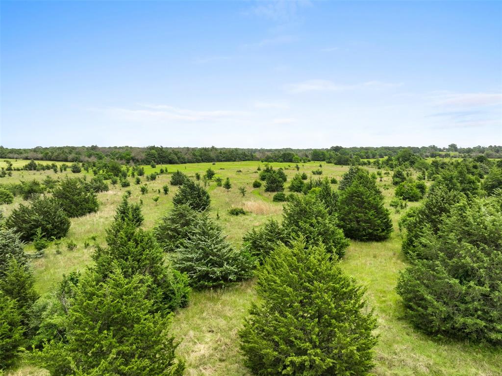 +/- 35 AC Batson Road, Normangee, Texas image 21
