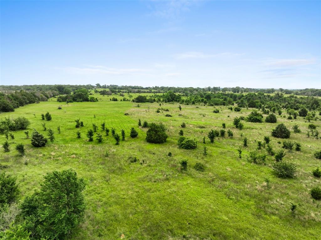 +/- 35 AC Batson Road, Normangee, Texas image 20