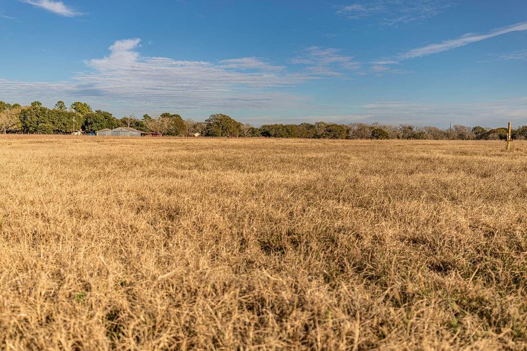 TBD Miller Road, Bellville, Texas image 2