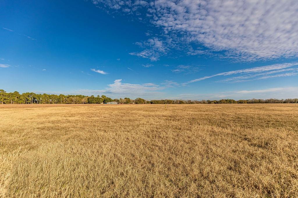 TBD Miller Road, Bellville, Texas image 3