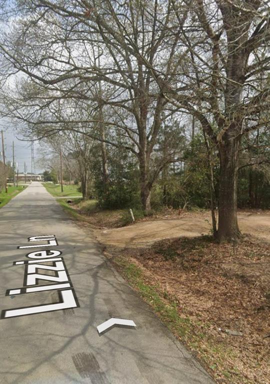 910 Lizzie Lane, Tomball, Texas image 1