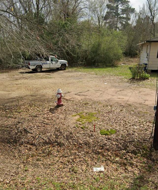 910 Lizzie Lane, Tomball, Texas image 2