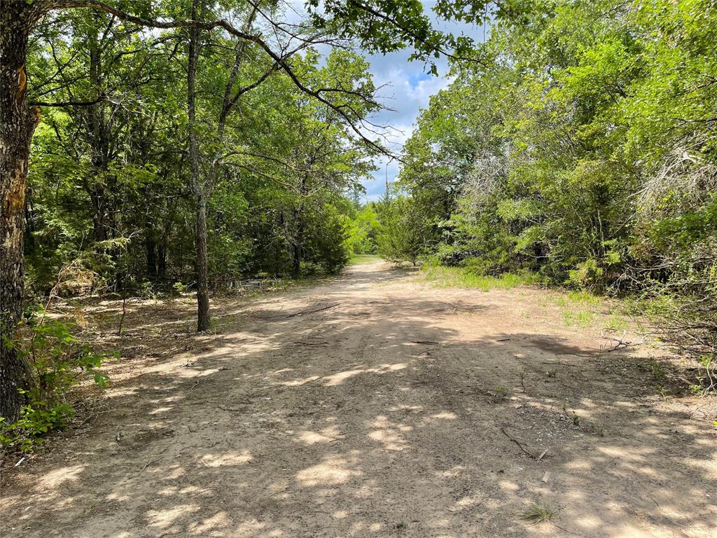379 Pr 5374, Groesbeck, Texas image 32