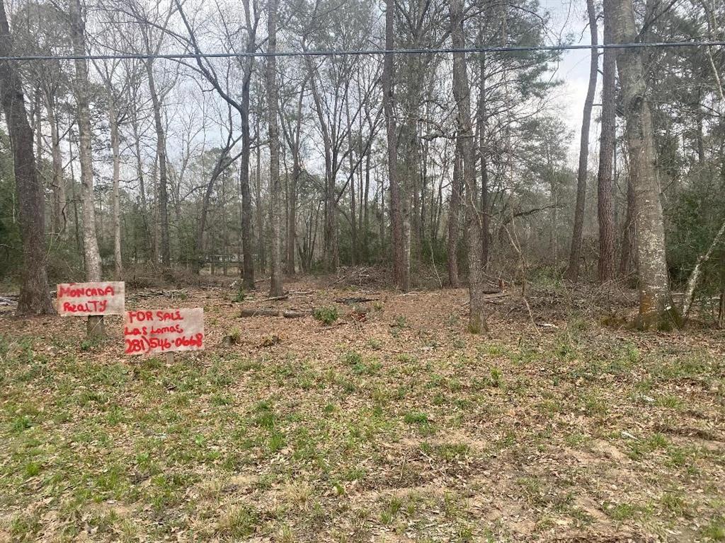 19117 Galaxy Boulevard Blvd, New Caney, Texas image 1
