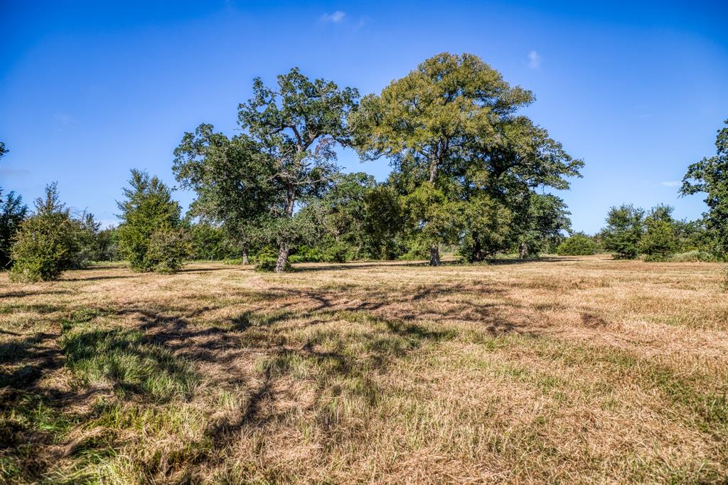 2700 Quarry Road, Brenham, Texas image 18