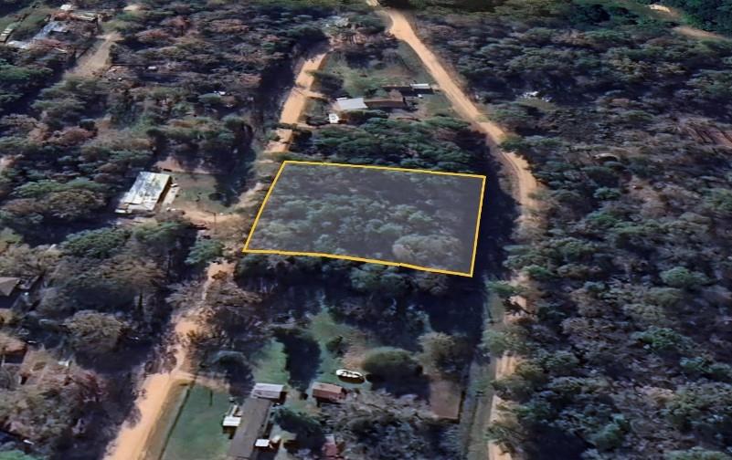 Lot 4 Friar Tuck Street, Shepherd, Texas image 6