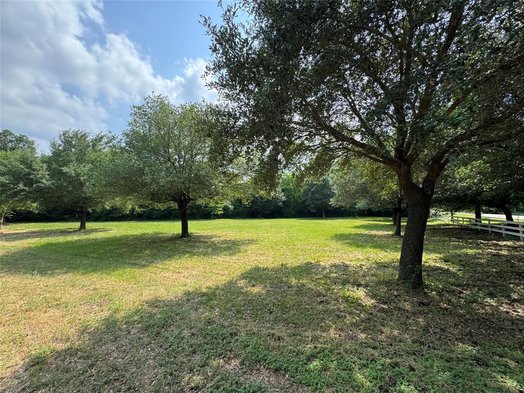 24077 Old Dobbin Plantersvil Road, Montgomery, Texas image 10