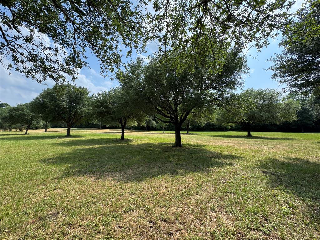 24077 Old Dobbin Plantersvil Road, Montgomery, Texas image 25