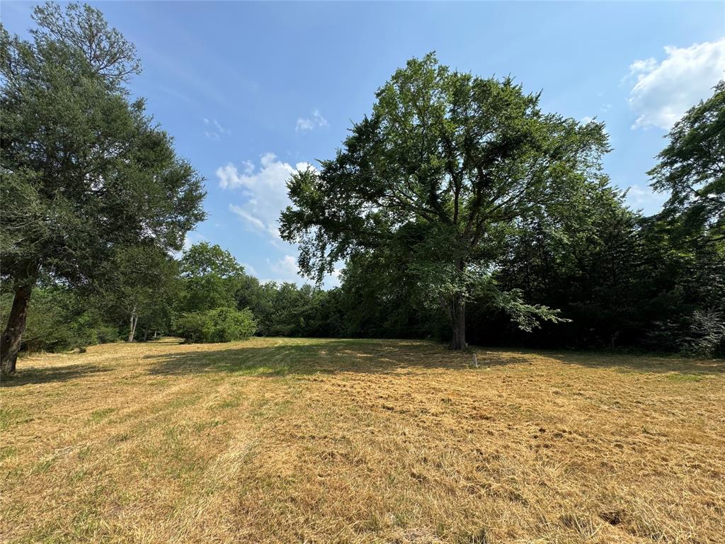 24077 Old Dobbin Plantersvil Road, Montgomery, Texas image 16