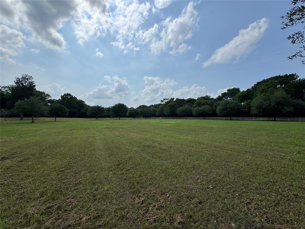 24077 Old Dobbin Plantersvil Road, Montgomery, Texas image 6