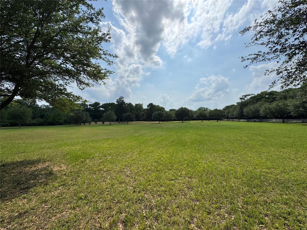 24077 Old Dobbin Plantersvil Road, Montgomery, Texas image 21