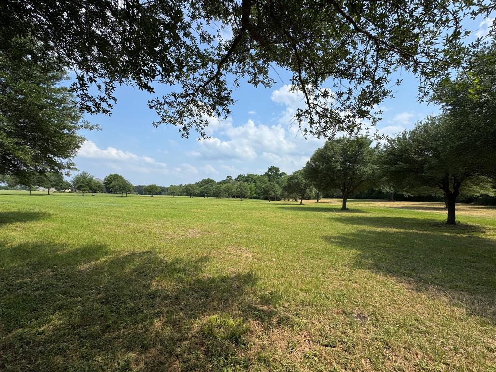 24077 Old Dobbin Plantersvil Road, Montgomery, Texas image 24