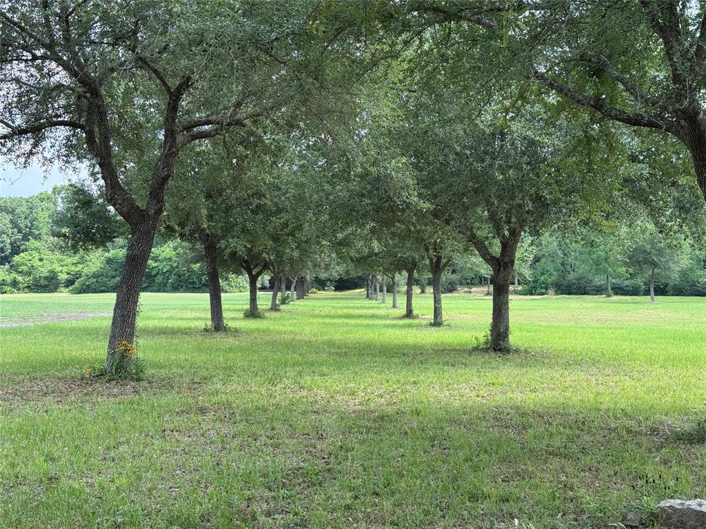 24077 Old Dobbin Plantersvil Road, Montgomery, Texas image 1