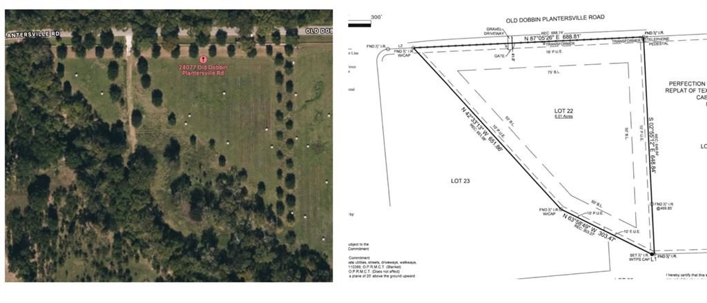24077 Old Dobbin Plantersvil Road, Montgomery, Texas image 3