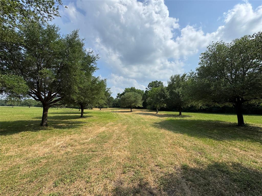 24077 Old Dobbin Plantersvil Road, Montgomery, Texas image 8
