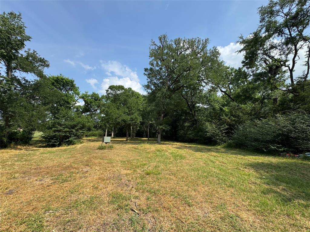 24077 Old Dobbin Plantersvil Road, Montgomery, Texas image 14
