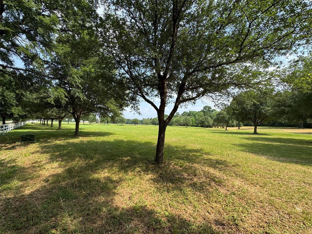 24077 Old Dobbin Plantersvil Road, Montgomery, Texas image 26