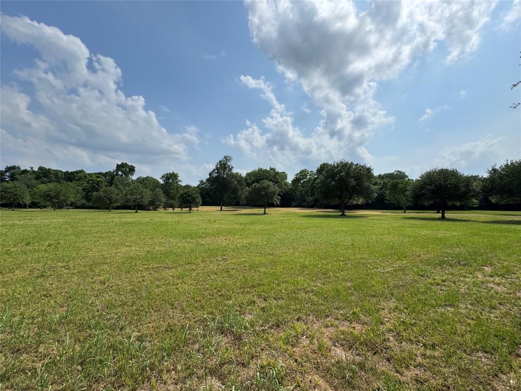 24077 Old Dobbin Plantersvil Road, Montgomery, Texas image 23