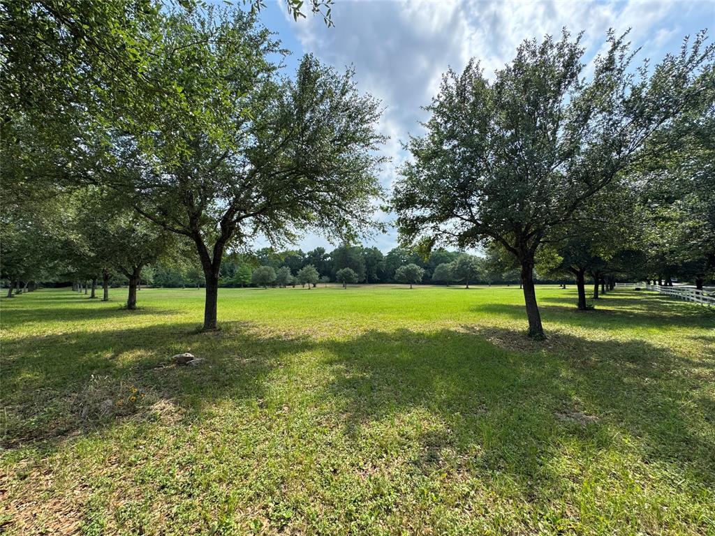 24077 Old Dobbin Plantersvil Road, Montgomery, Texas image 2