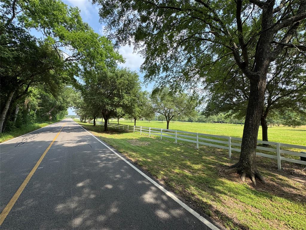 24077 Old Dobbin Plantersvil Road, Montgomery, Texas image 30