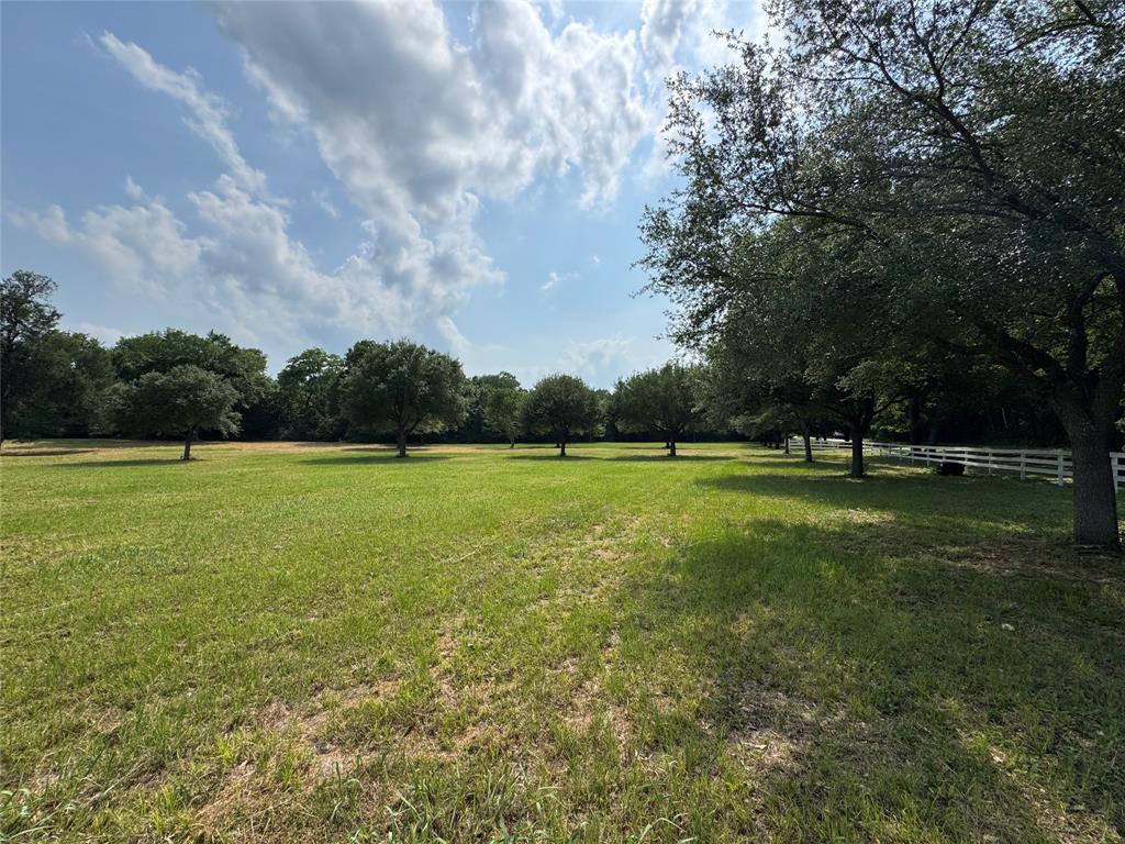 24077 Old Dobbin Plantersvil Road, Montgomery, Texas image 22