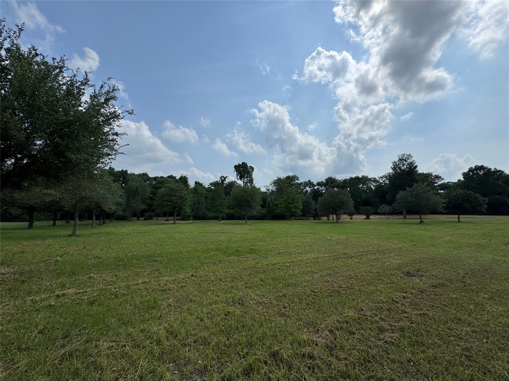24077 Old Dobbin Plantersvil Road, Montgomery, Texas image 20