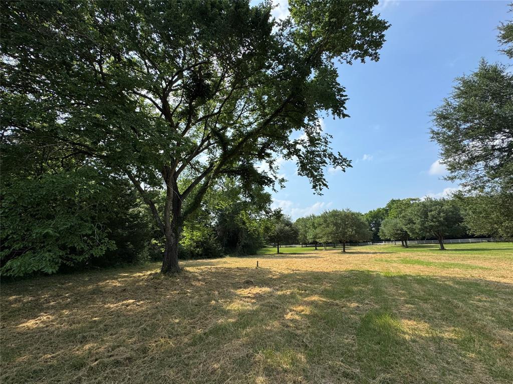24077 Old Dobbin Plantersvil Road, Montgomery, Texas image 15