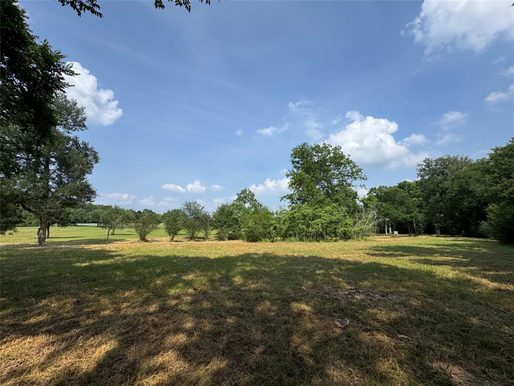 24077 Old Dobbin Plantersvil Road, Montgomery, Texas image 17