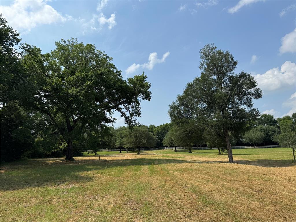 24077 Old Dobbin Plantersvil Road, Montgomery, Texas image 12