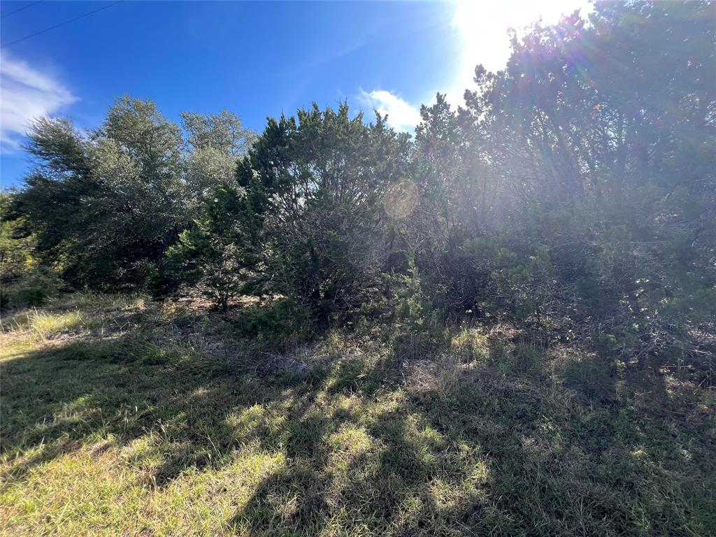 33028 Woodcrest Drive, Whitney, Texas image 3