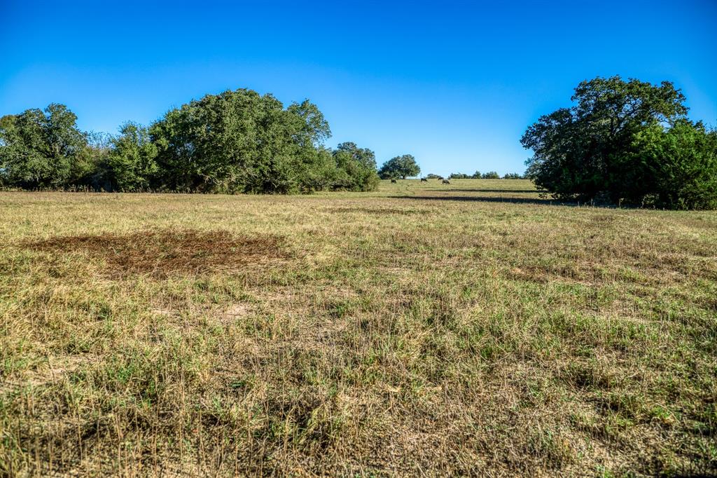 04 Sawmill Road Tract 4, Brenham, Texas image 4