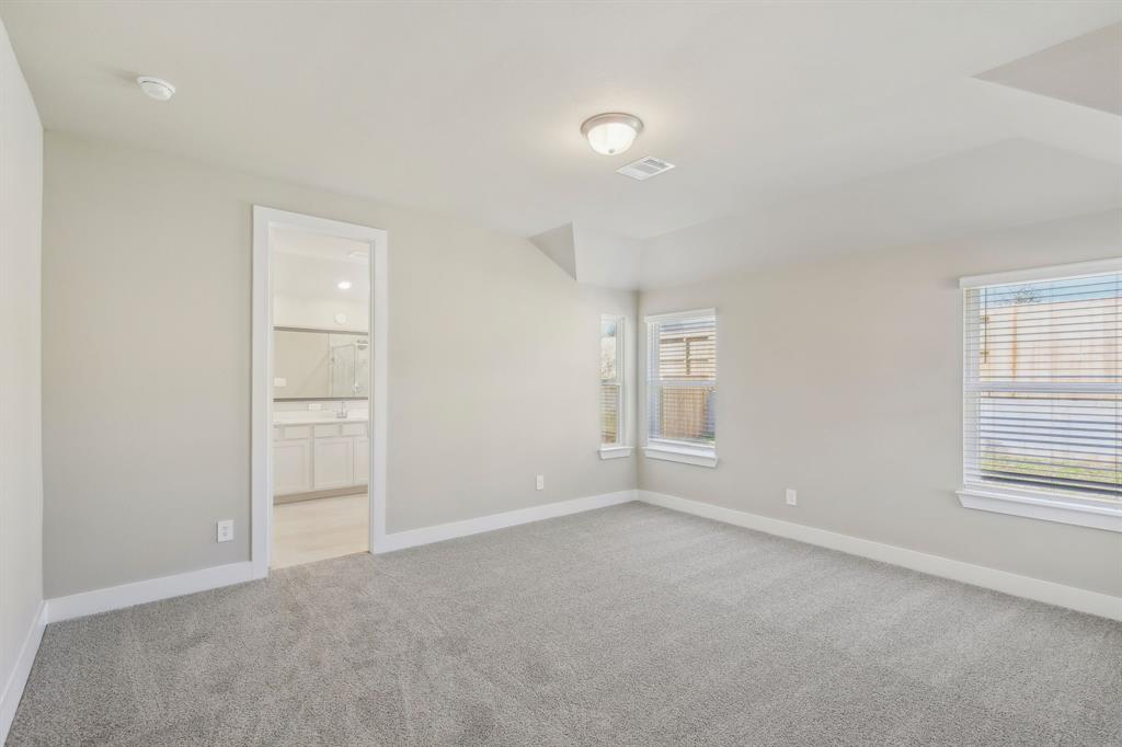 116 Bay Bridge Court, Montgomery, Texas image 31