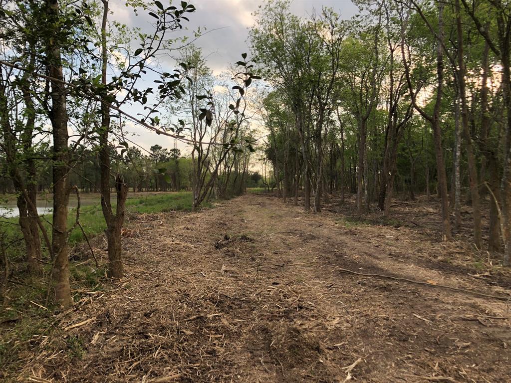 00 Olive St, League City, Texas image 28