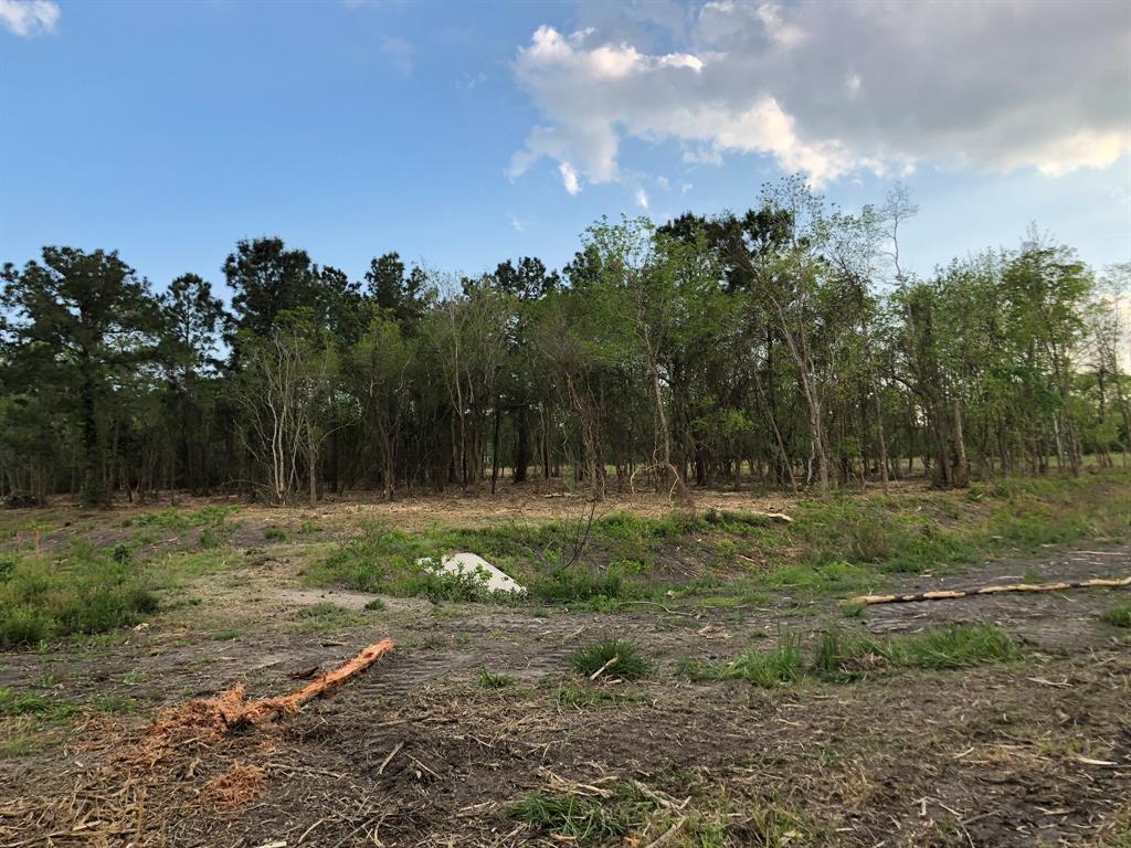 00 Olive St, League City, Texas image 30