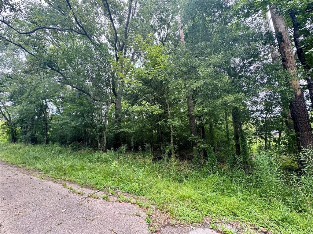 Photo of 0 Lazy Creek Drive, New Caney, TX 77357 (MLS # 85103765)
