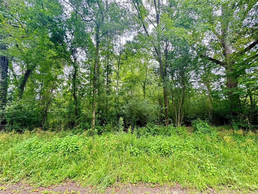 Photo of 0 Lazy Creek Drive, New Caney, TX 77357 (MLS # 85103765)