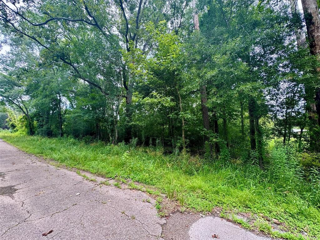 Photo of 0 Lazy Creek Drive, New Caney, TX 77357 (MLS # 85103765)