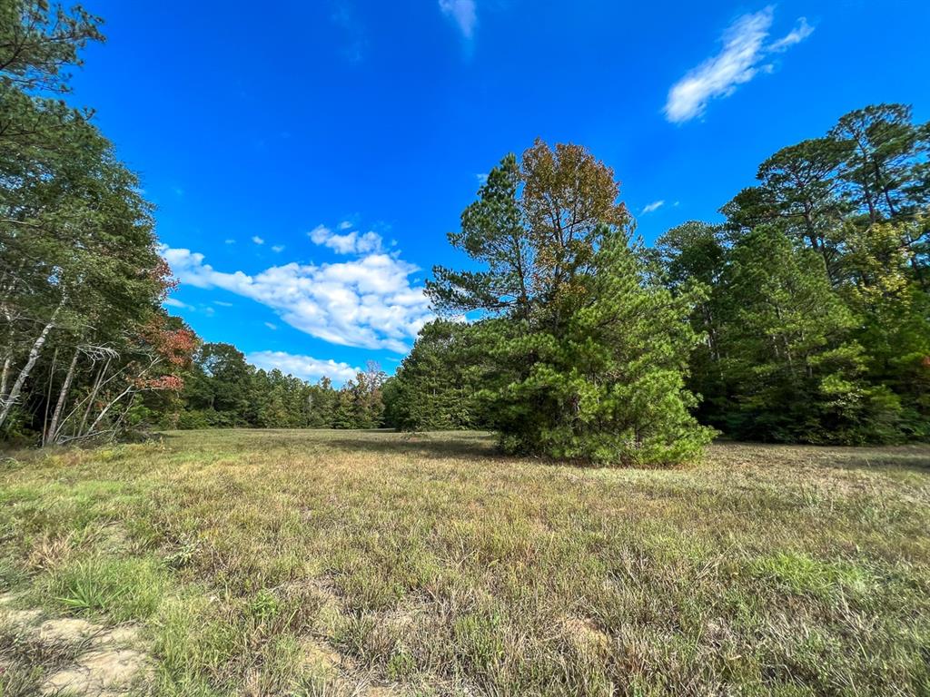 I-45 Frontage Road, Huntsville, Texas image 6