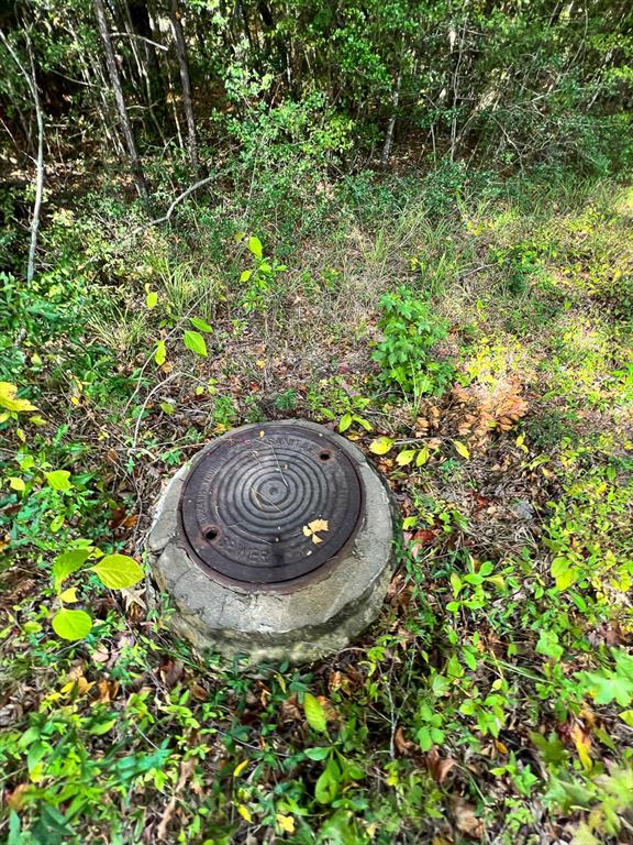 I-45 Frontage Road, Huntsville, Texas image 9