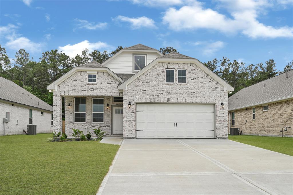 509 Little Spring Court, Anahuac, Texas image 1