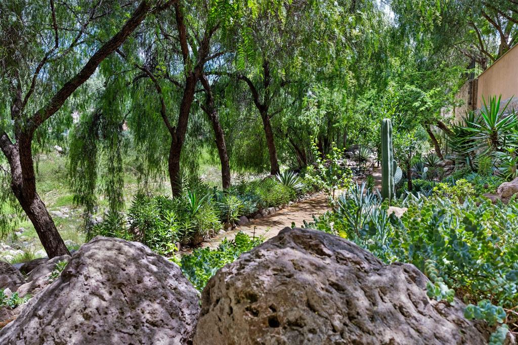 37700, Mexico, 2 Bedrooms Bedrooms, ,3 BathroomsBathrooms,Residential,Active,51659