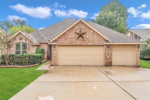 9766 Twin Shores Drive Willis TX 77318