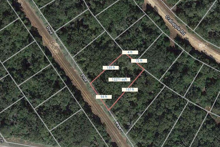 Lot 47 Pine, Normangee, Texas image 2
