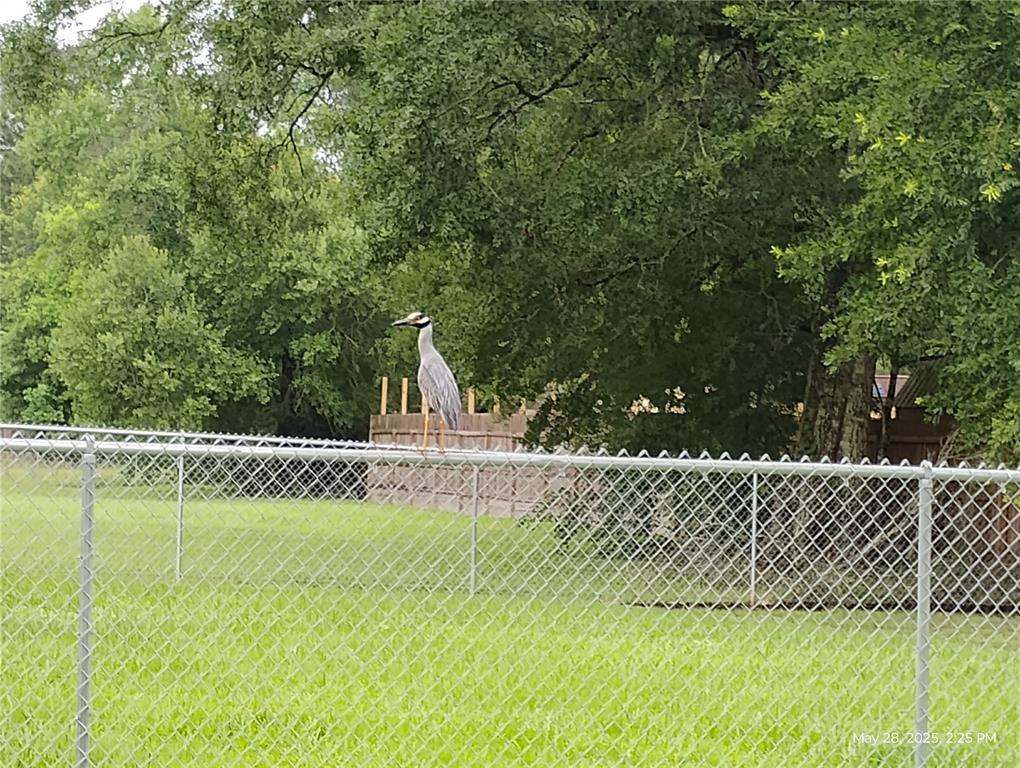 1204 Parkhurst Avenue, Cleveland, Texas image 13