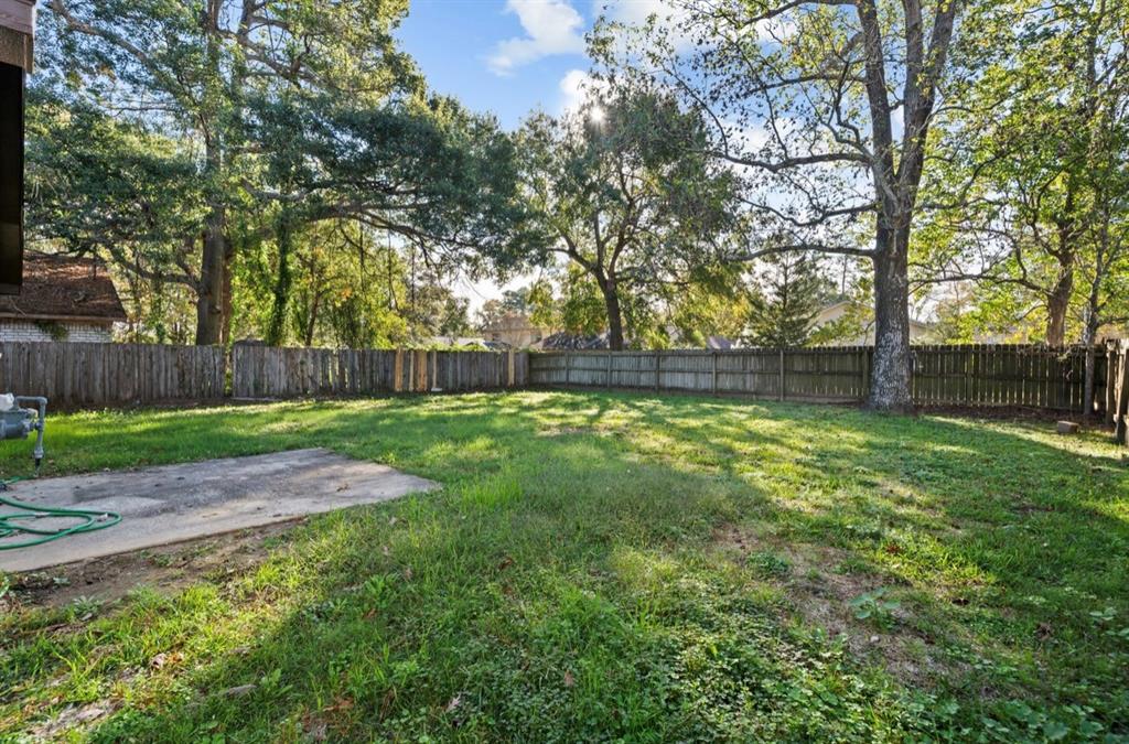 3226 Ricewood Drive, Porter, Texas image 12