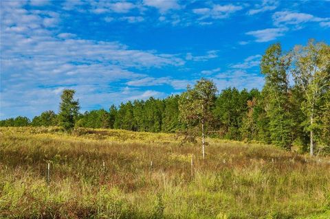 Vacant Land For Sale - 000 Fm 223<br/> Shepherd, TX 77371