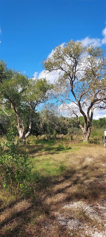 8828 Calagna Road, Hitchcock, Texas image 6