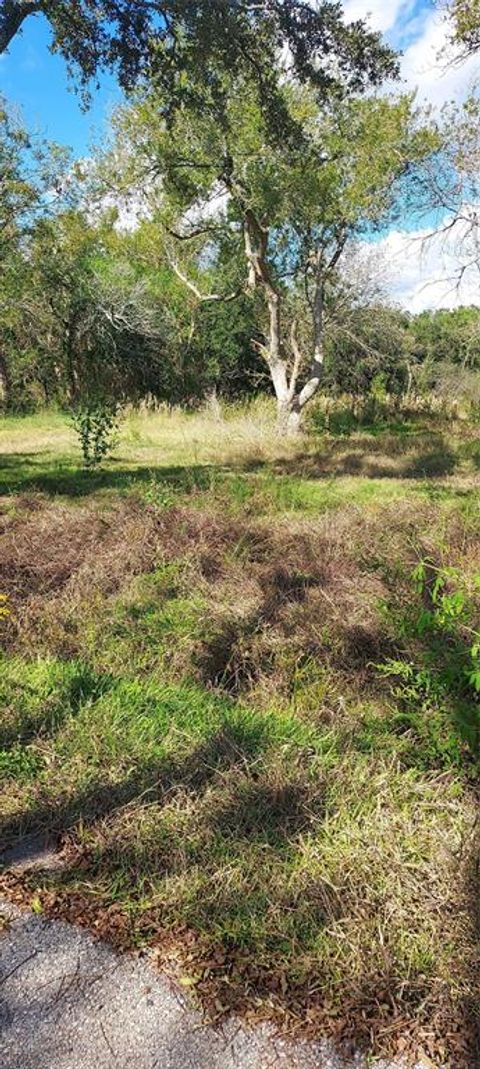 Vacant Land For Sale - 8828 Calagna Road<br/> Hitchcock, TX 77563